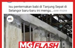 Foto Babi Pada Berita PAU, Editor Malaysiakini Jumpa Pemimpin UMNO #MGFlash