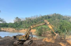 Sindiket lombong emas guna jengkaut di ladang kelapa sawit
