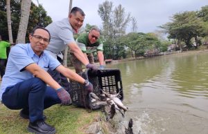 Cabaran Joran KL 2026 warnai sambutan Hari Wilayah