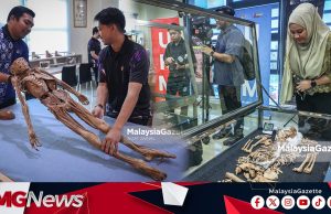 Pameran Rangka Manusia Prasejarah Gua Cawan Kini Dipamerkan Fakulti Perubatan UKM