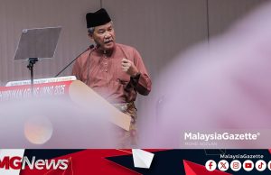 Ada Hasrat Komponen Beriya-iya Mahu Adakan Pilihan Raya PBT, Siapa Akan Halang Jika Bukan UMNO