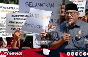 Batalkan Projek Ladang Babi di Bukit Tagar, Boleh Import Dari Perak dan Sarawak – NGO