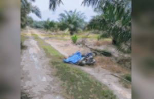 Pekerja warga Indonesia ditemukan meninggal dunia di ladang sawit