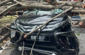 Pokok tumbang: Dua pensyarah UiTM kini dirawat di Zon Kritikal