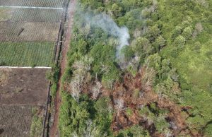Bomba Pahang terima 82 kes kebakaran sepanjang Januari 2026