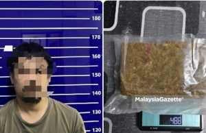 Lelaki warga Thailand ditahan bersama 488 gram daun ganja