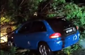 Lelaki nyaris maut kereta dihempap pokok ara tumbang