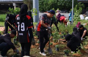 UM tanam 1,100 anak pokok demi kelestarian biodiversiti kampus