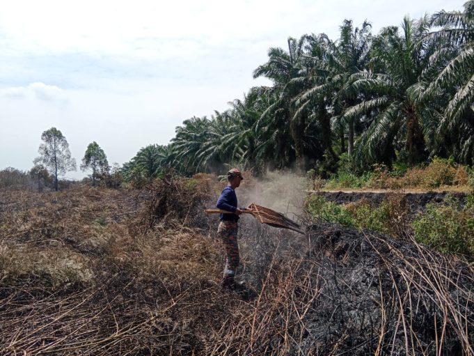 Hutan Simpan Kuala Langat Selatan