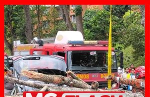 Pokok Tumbang: 2 Pensyarah UiTM Dirawat Di Zon Kritikal #MGFlash