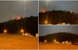 Hutan di puncak bukit berhampiran Taman Tun Abdul Razak terbakar