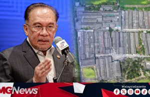 Ternak Babi Moden: Cari Tempat Bukan Kontroversi, Kerana Masalah Bau, Kesihatan Adalah ‘Real’ – PMX