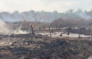 Kebakaran hutan dan ladang kelapa sawit di Pahang masuk hari ke-7