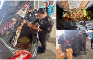 KPDN Kelantan tahan wanita Thailand cuba seludup minyak masak