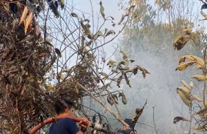 Empat hari kebakaran musnahkan 29 hektar belukar di Punggai