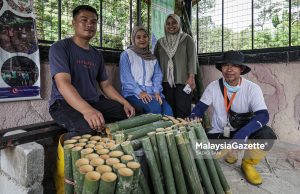 Buluh lemang sumber rezeki Nur Izzah