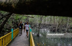 Keselamatan Langkawi, konflik gajah-manusia antara tumpuan Dewan Rakyat