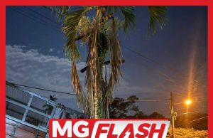 Pemandu Maut Dilanggar Lori Sendiri Akibat Lupa Tarik Brek Tangan #MGFlash