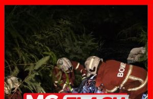 Seorang Lelaki Maut, Tiga Cedera Selepas Kereta Dinaiki Masuk Gaung #MGFlash