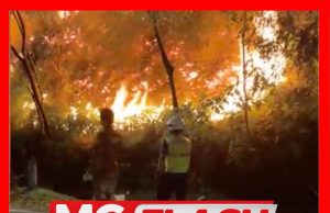 Kebakaran Hutan Di Puncak Jalil Berjaya Dipadam Sepenuhnya #MGFlash