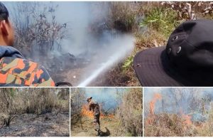 Hutan berhampiran Plaza Tol Putrajaya terbakar