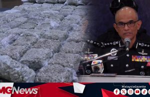 Sindiket Ganja Antarabangsa Tumpas, Polis Rampas 116kg Dadah Bernilai RM9.35 Juta