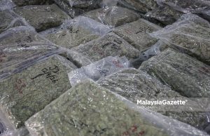 Sindiket guna khidmat e-hailing, kurier edar dadah tumpas, rampasan hampir RM14j