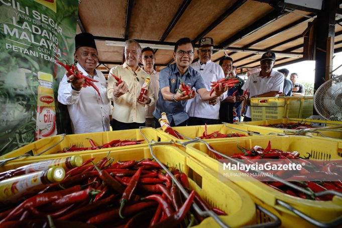 MGF17042026_LAWATAN LADANG CILI-12