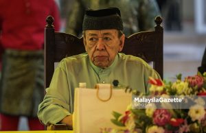 Sultan Selangor utamakan tindakan efektif, nasihat selari peranan ketua negeri