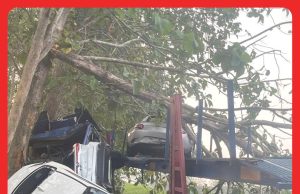 Lelaki Selamat Treler Terbabas Namun Maut Ketika Lintas Jalan #MGFlash