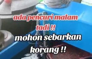 Siput beliung, lokan dan belangkas segar pun kena curi