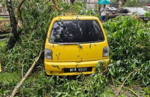 Hujan lebat berterusan di Selangor, pokok tumbang dan empat kereta rosak