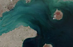 Seoul akan menilai semula penyertaan operasi Amerika di Selat Hormuz