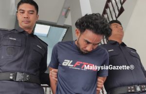 Tebang untuk curi pokok gaharu, lelaki Kemboja didenda RM3,500