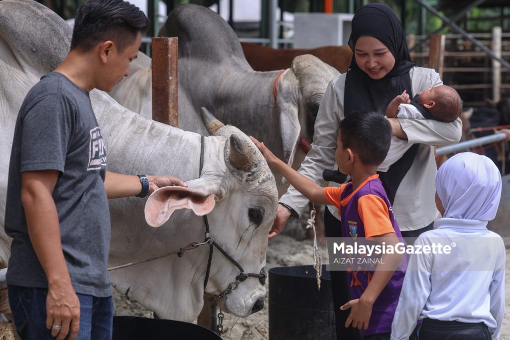Gelagat pengunjung pada Karnival Qurban 2026 di Kg Sungai Kelambu Banting, Selangor. Foto AIZAT ZAINAL, 22 MEI 2026.