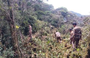 Pendaki hilang: Pasukan SAR ambil cip kamera pengawasan kesan Jaslinda