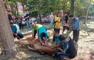 Program Qurban Media 2.0 sempena sambutan Aidiladha