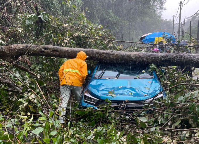 Sebuah kereta dihempap pokok tumbang di Batu 10 Jalan Gombak, hari ini.