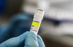 EU pantau kes hantavirus dikaitkan dengan kapal persiaran, WHO gesa orang ramai bertenang