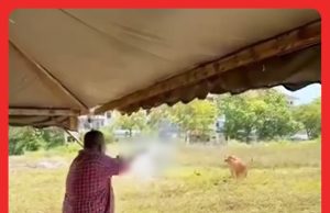 Tembak Haiwan Korban Mengganas Dibolehkan Jika Darurat – Pakar Fiqh #MGFlash