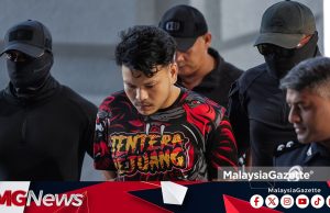Pemandu Peribadi Didakwa Culik Kanak-Kanak Perempuan