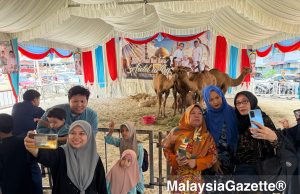 ‘Mini zoo’ Aidiladha di Flat Kampung Melayu tarik ratusan pengunjung
