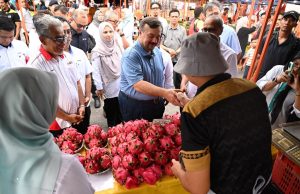 Pendekatan pelbagaikan sumber perkukuh ketahanan bekalan tenaga negara – Amir Hamzah