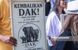 PKAM persoal ketelusan siasatan SPRM pemindahan tiga gajah ke Jepun