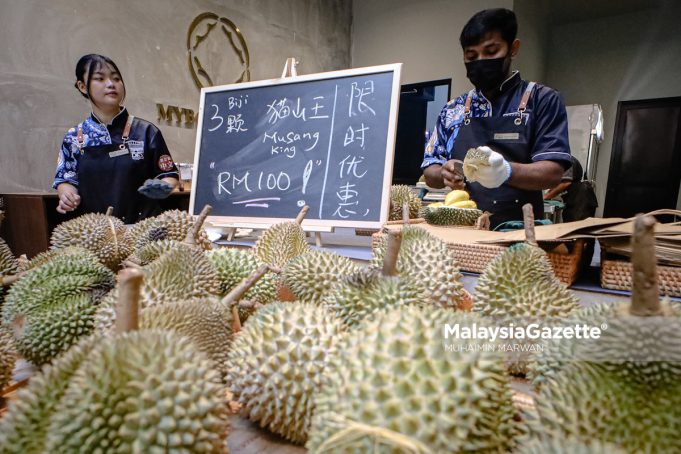 MGF23062026_DURIAN-6