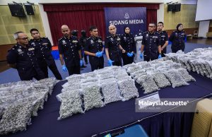 Tiga sindiket dadah tumpas, bunga ganja bernilai RM13.73 juta dirampas