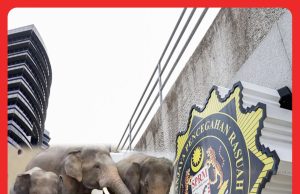 SPRM Buka Siasatan Pemindahan DAK ke Jepun #MGFlash