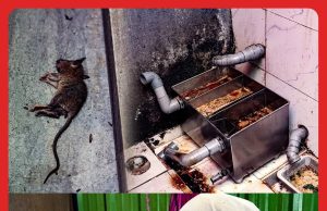 Bangkai Tikus Tergolek Di Dapur Restoran Tomyam #MGFlash