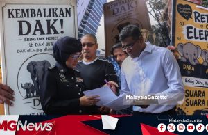 Siapa Hantar Tiga Ekor Gajah Kita ke Jepun? NGO Desak Bukit Aman Tubuh Pasukan Khas Siasat Segera!