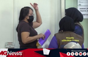 Kematian 77 Ekor Kucing: Wanita Mengaku Tidak Bersalah Pengabaian, Sebabkan Kematian